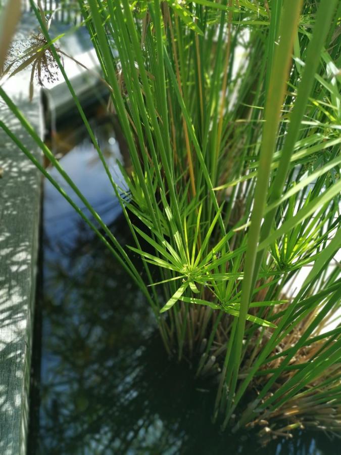O Lac Lacanau Εξωτερικό φωτογραφία