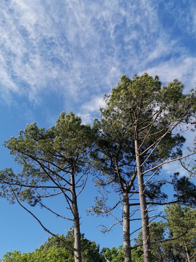 O Lac Lacanau Εξωτερικό φωτογραφία